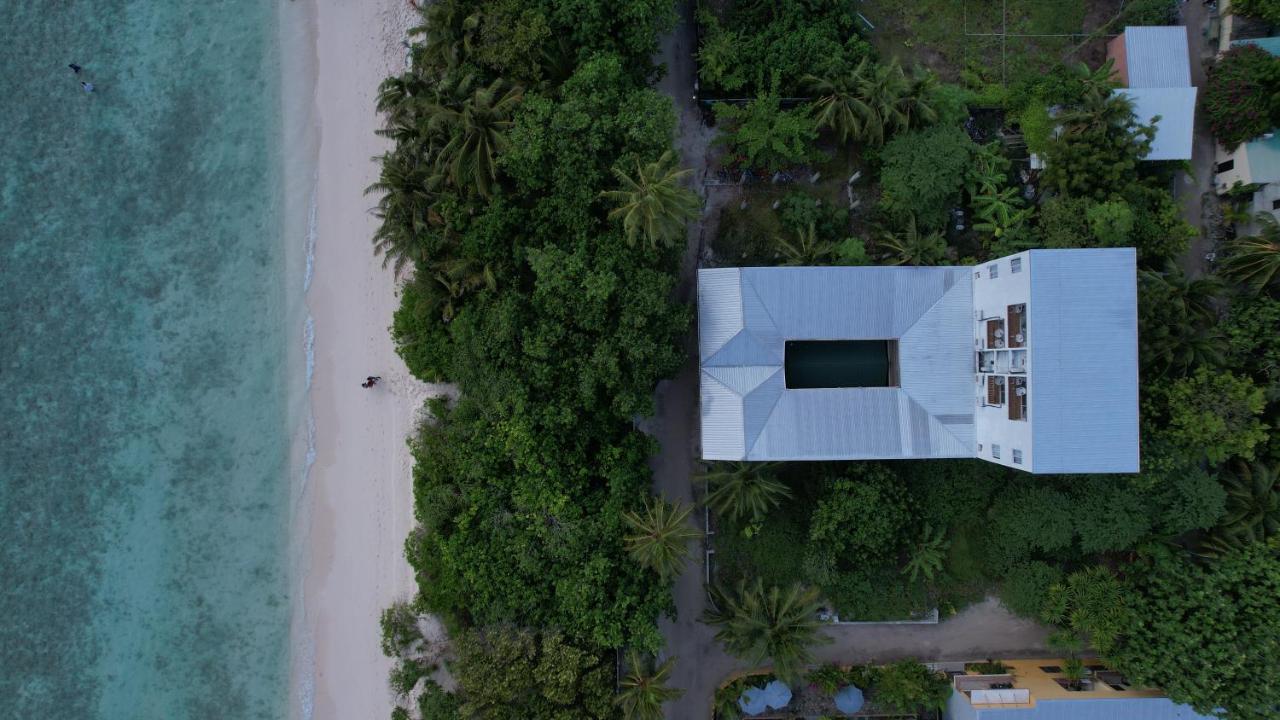 Palm courtyard at Casa Paradiso